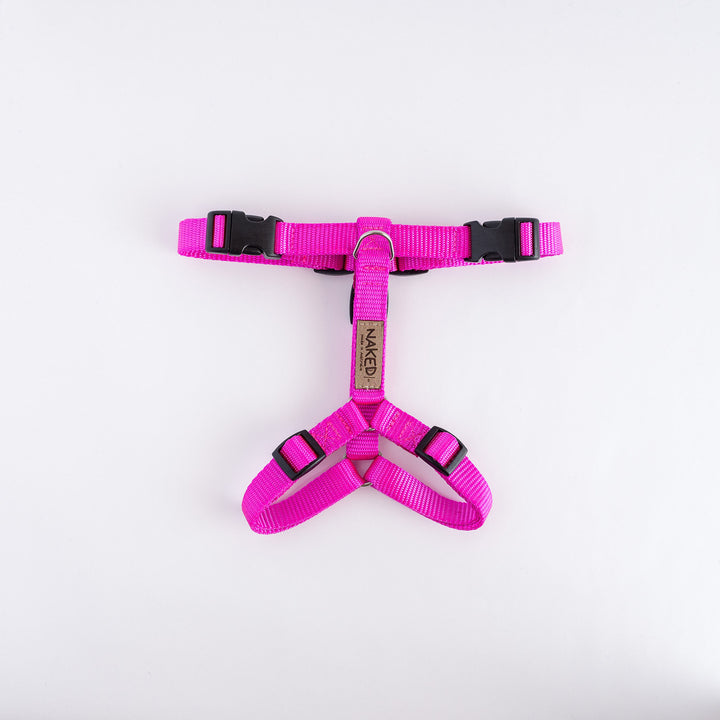 Naked Harness *