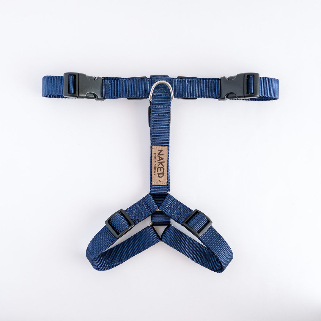 Naked Harness *