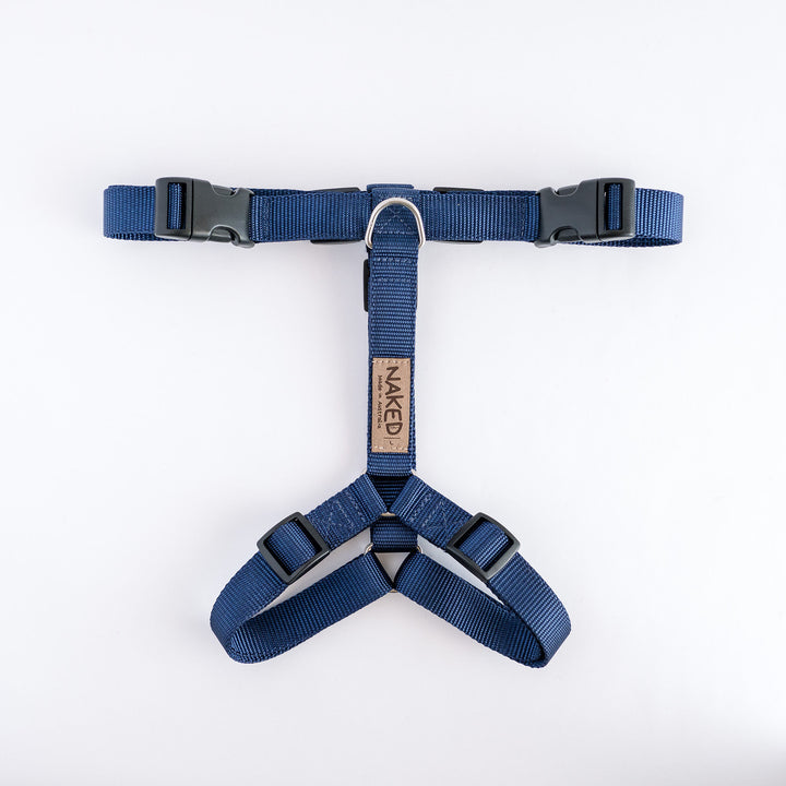 Naked Harness *