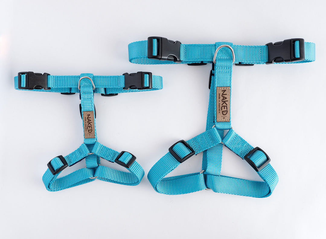 Naked Harness *