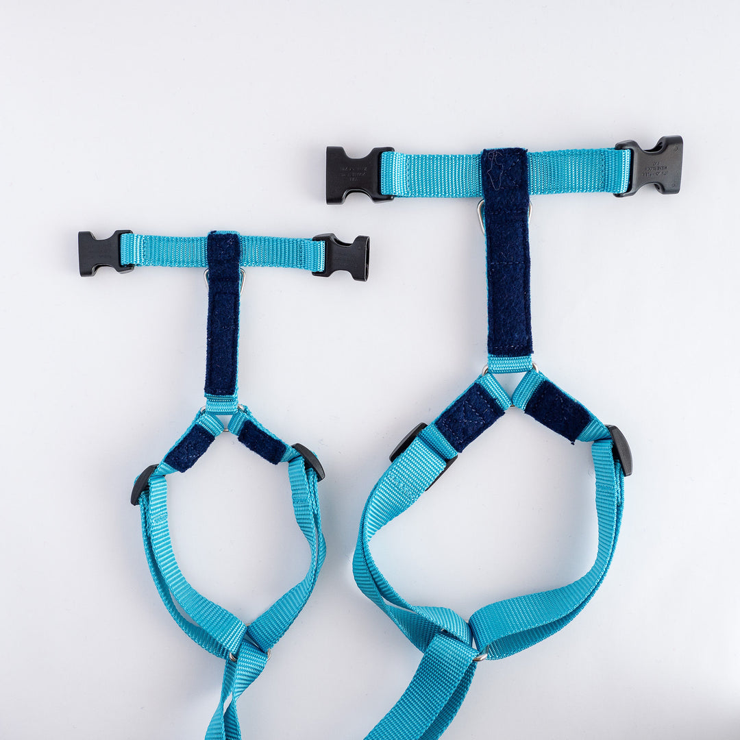 Naked Harness *