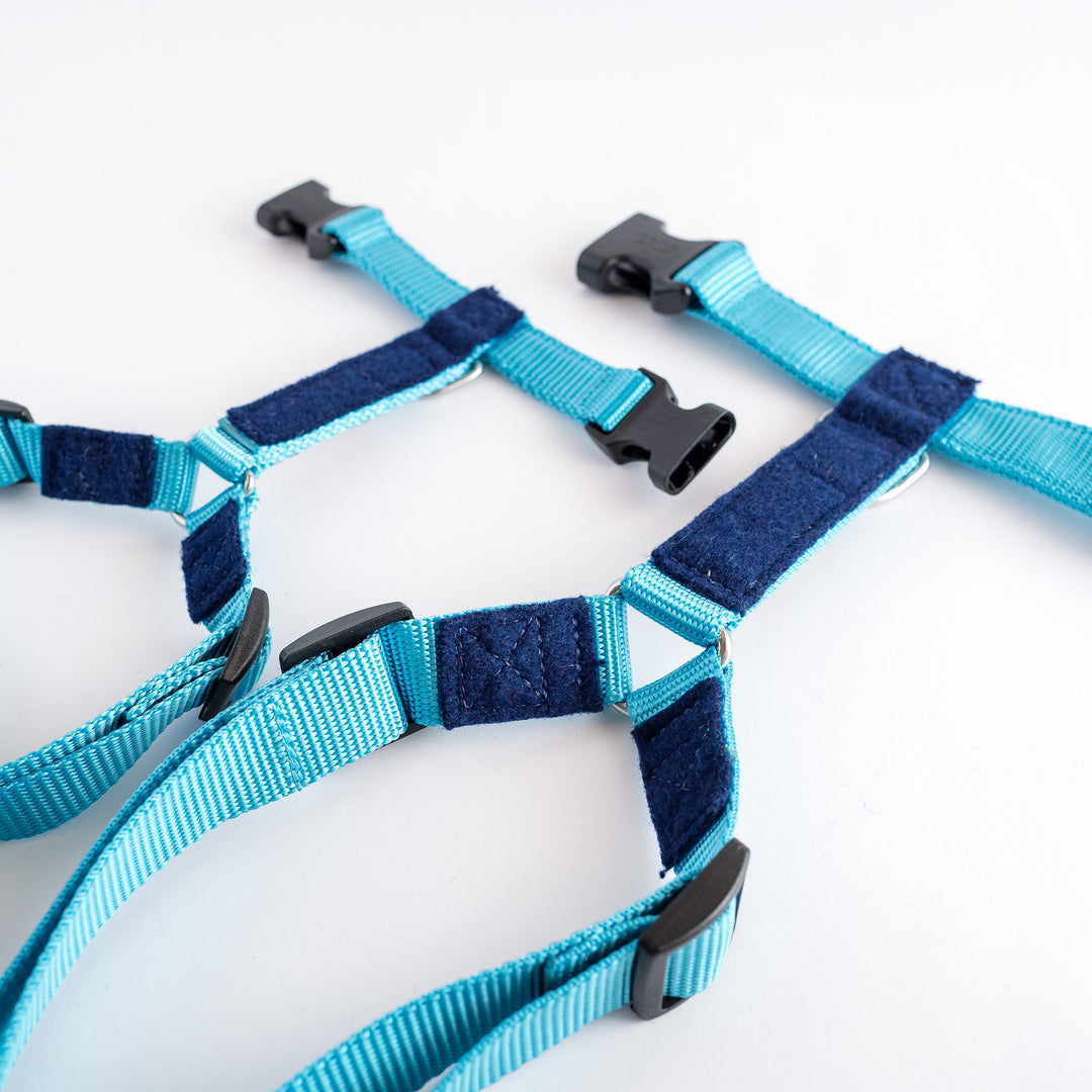 Naked Harness *