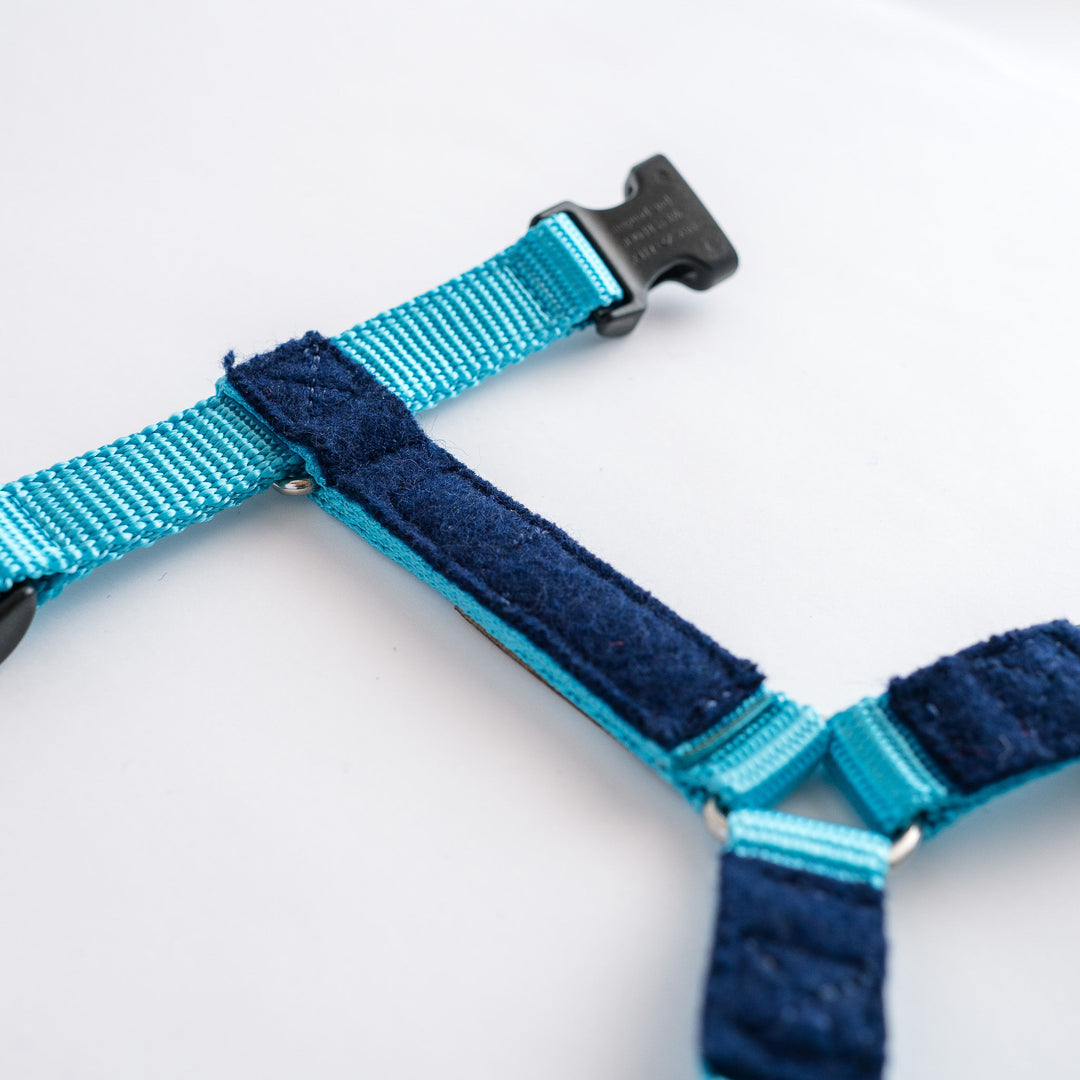 Naked Harness *