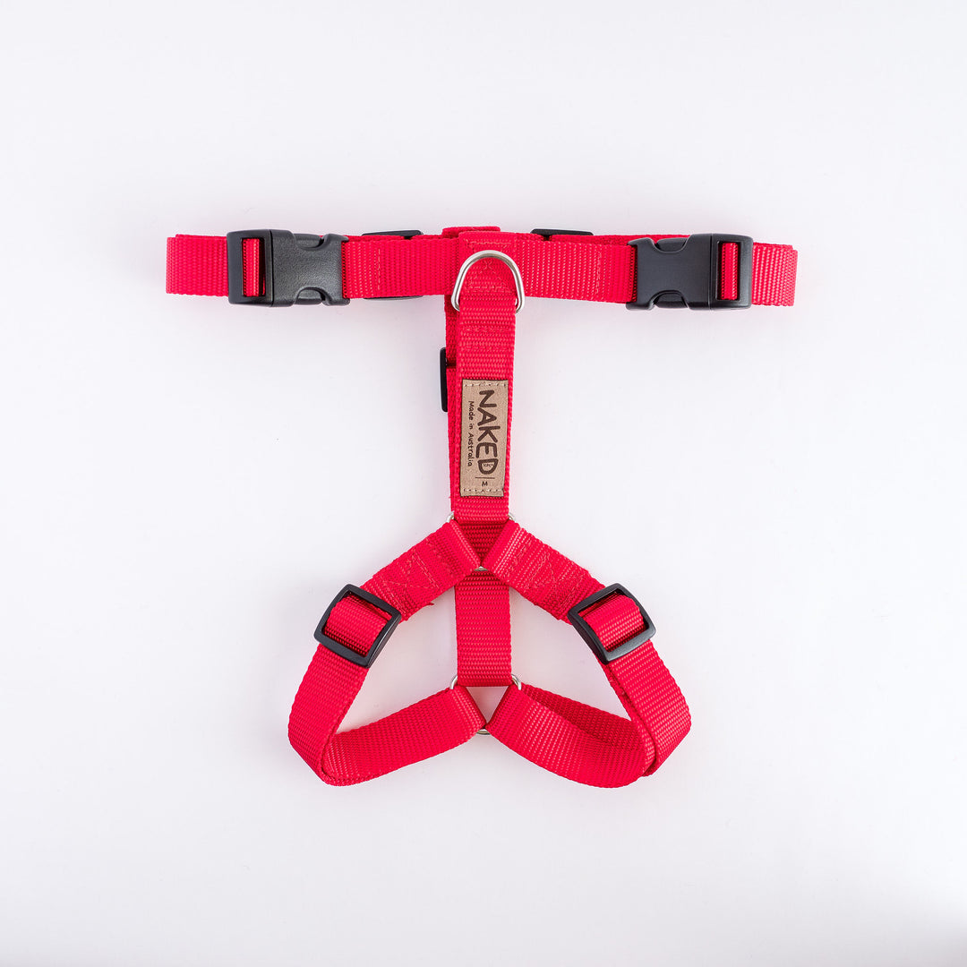 Naked Harness *