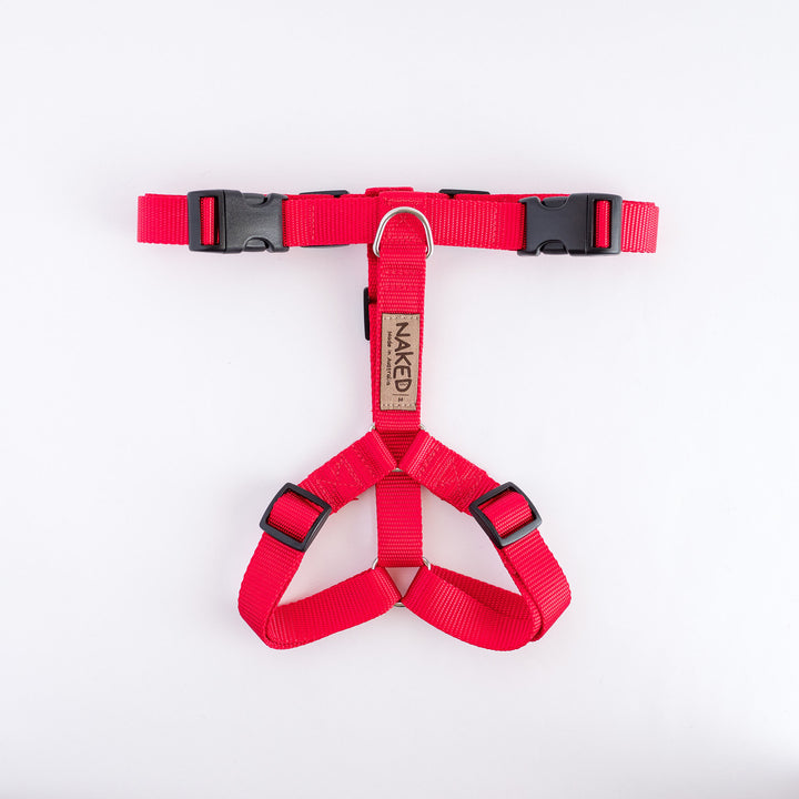 Naked Harness *