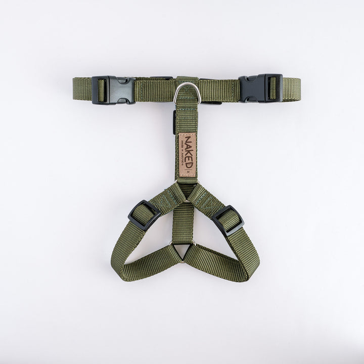 Naked Harness *