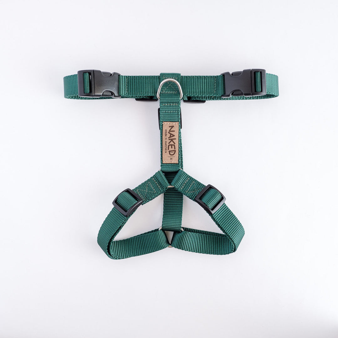 Naked Harness *