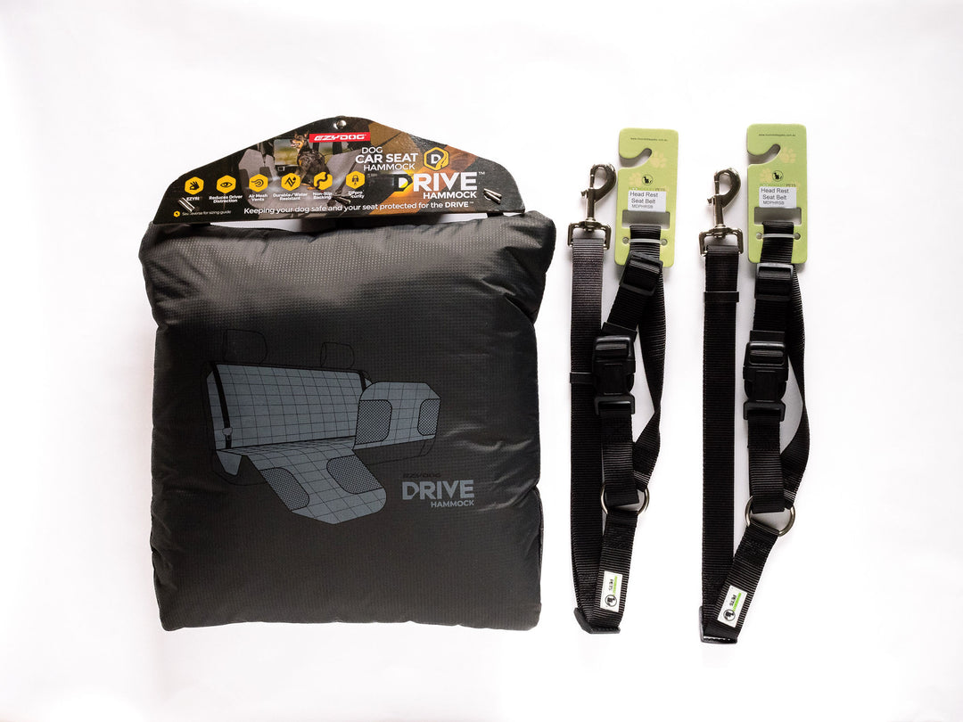 Pimp Out My Car Bundle for 2 Dogs