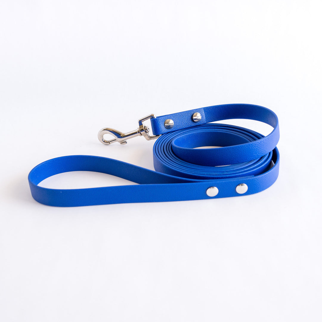10m Biothane Lead