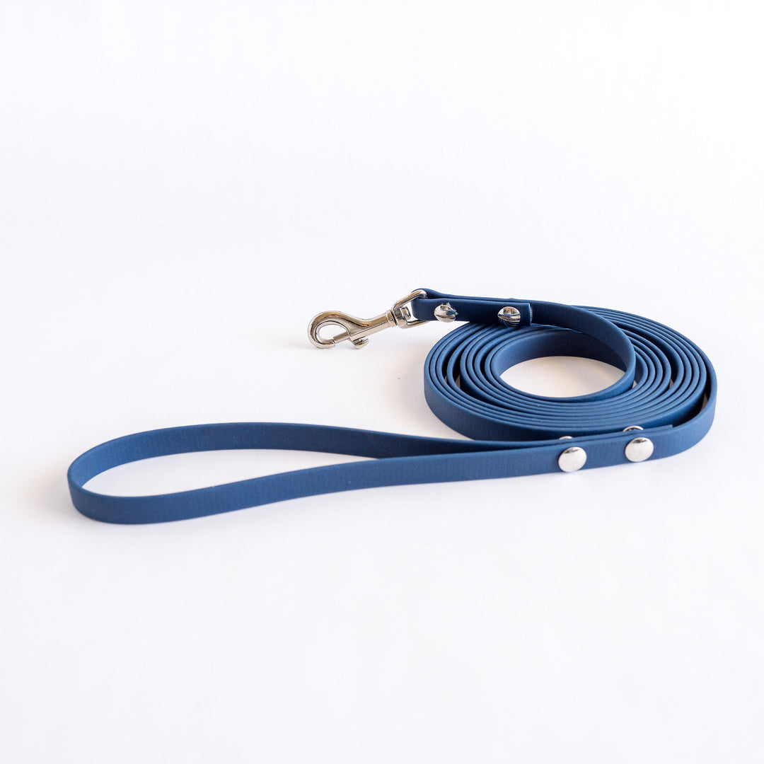 10m Biothane Lead