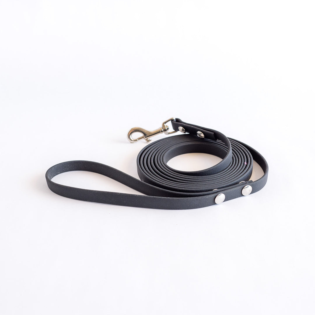 10m Biothane Lead