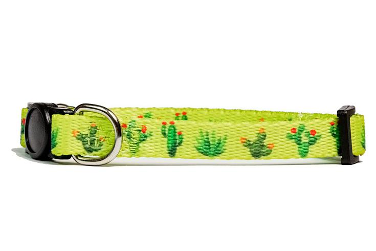 Puppy/Toy Dog Collar