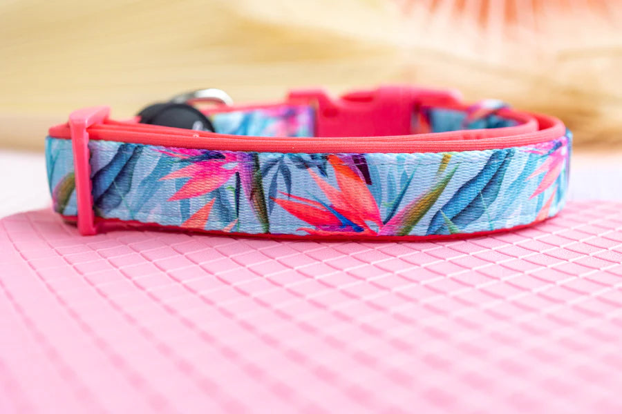 Birds of Paradise Neoprene Dog Collar *