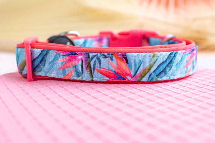 Birds of Paradise Neoprene Dog Collar *