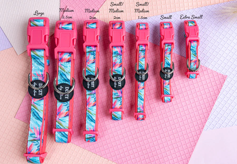 Birds of Paradise Neoprene Dog Collar *