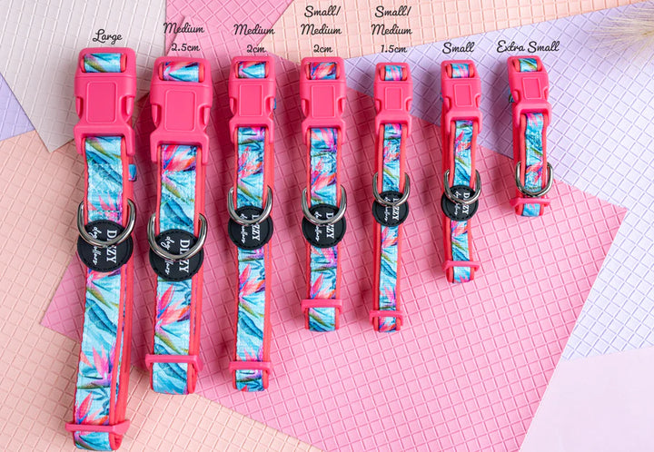 Birds of Paradise Neoprene Dog Collar *