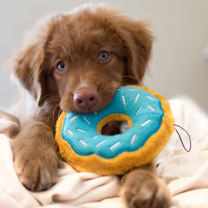 Zippy Paws Donutz