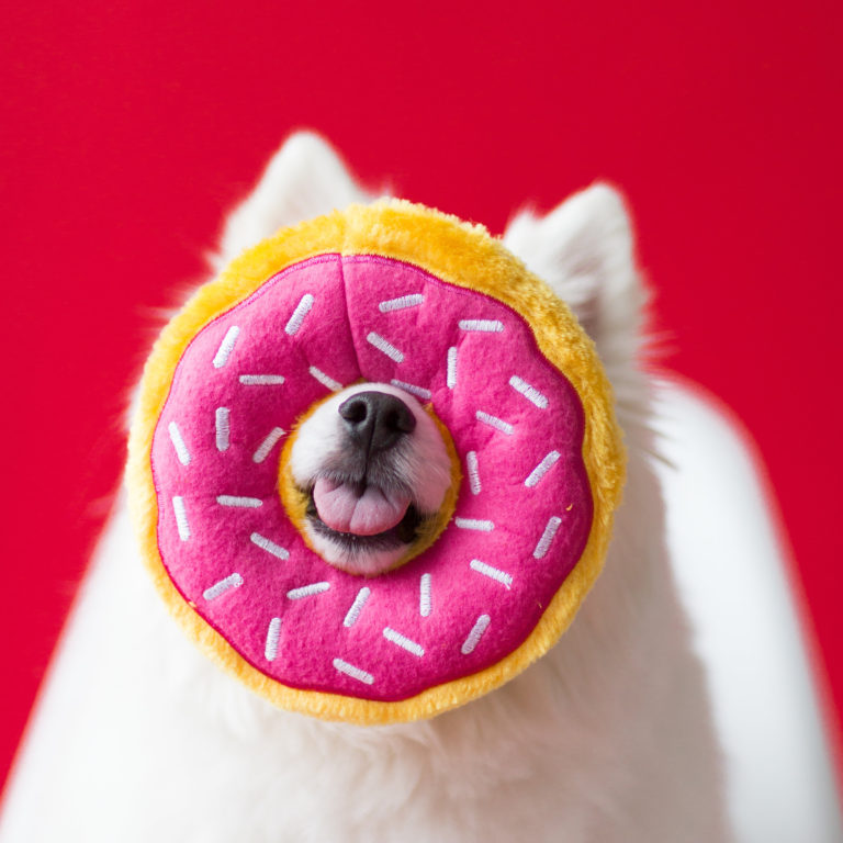 Zippy Paws Donutz