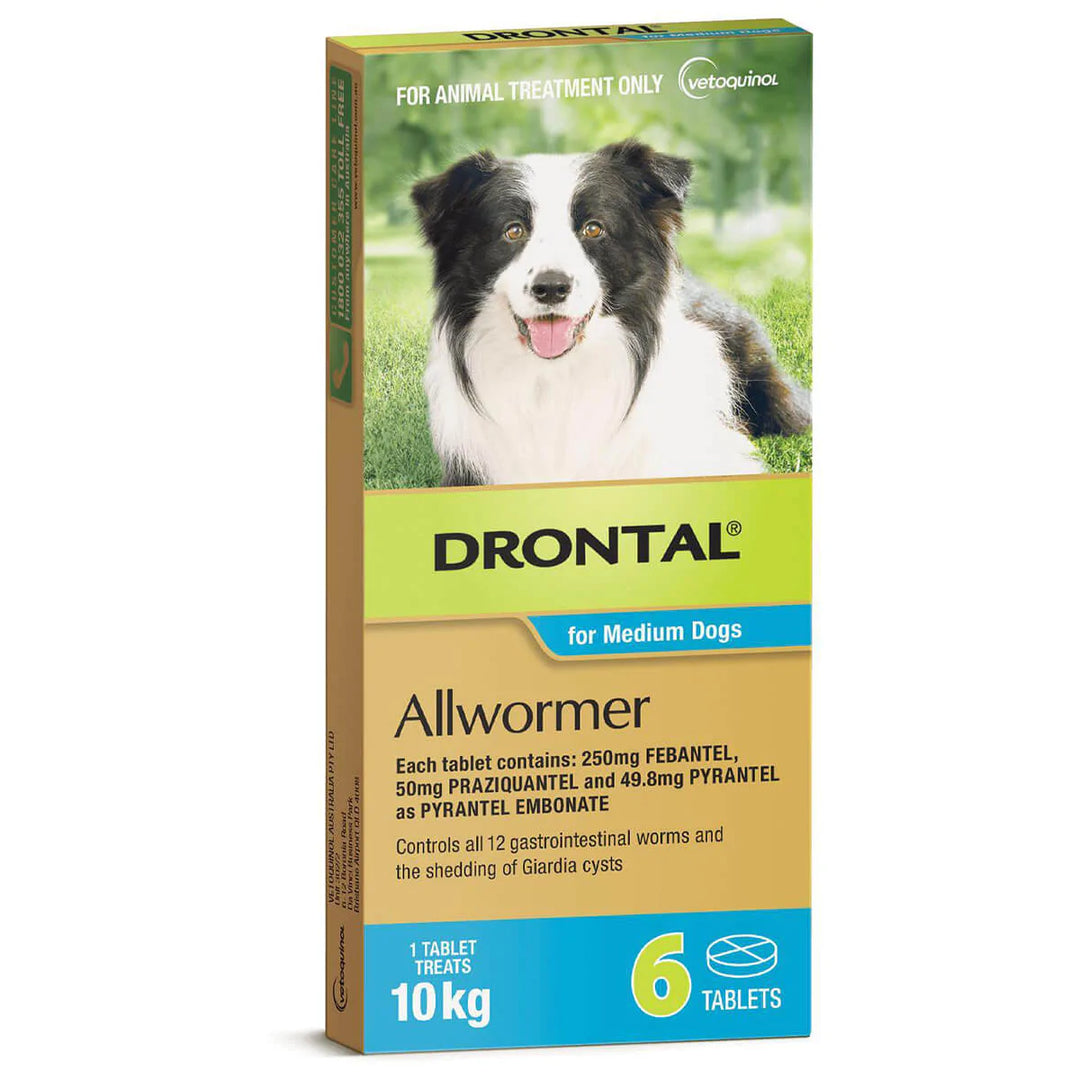 Drontal Medium Dogs 10kg Tablet 6 Pack