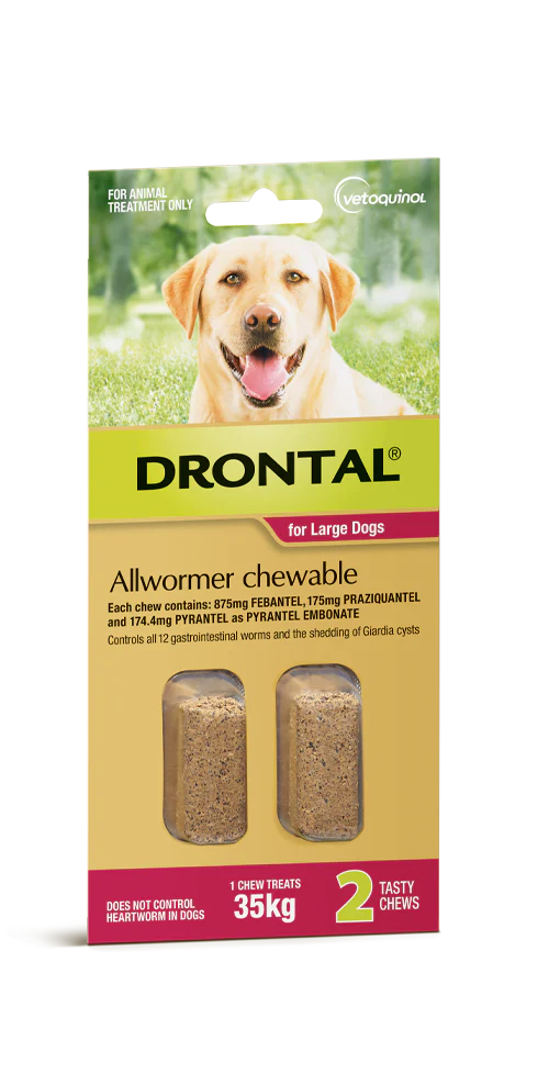 Drontal Large Dog Chews 2pk Dogs over 35kg