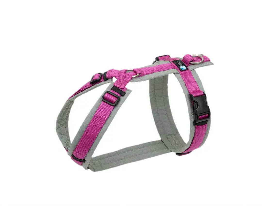 Anny.x Harness Fun