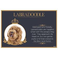 Fine Dining Pet Placemat *