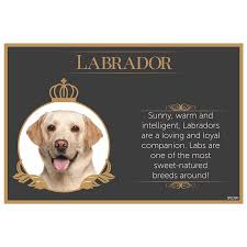 Fine Dining Pet Placemat *