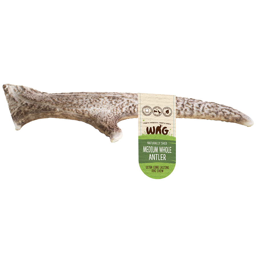 Deer Antler Whole