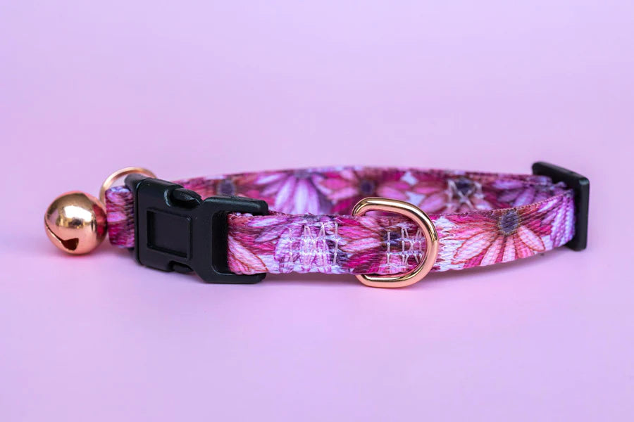 Puppy/Toy Dog Collar