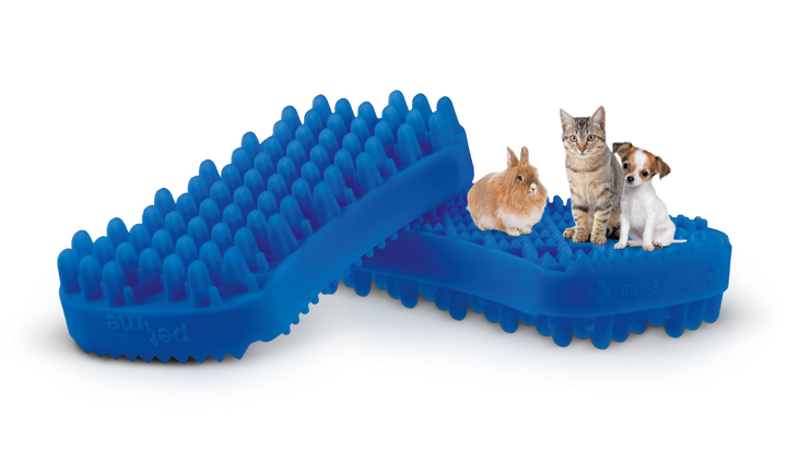 Pet & Me Brush