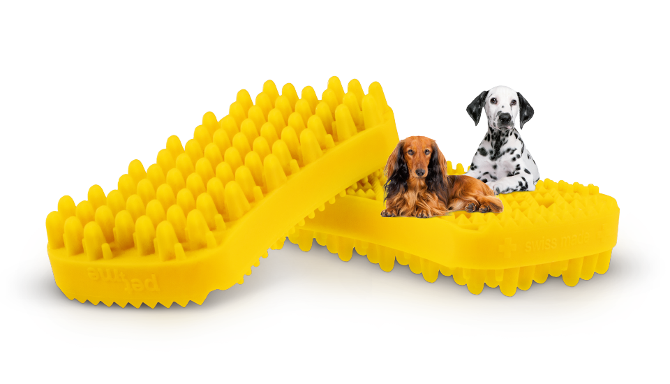 Pet & Me Brush