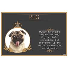 Fine Dining Pet Placemat *