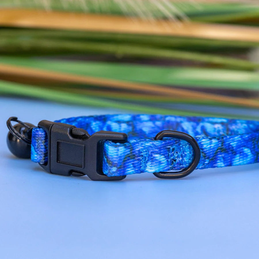Puppy/Toy Dog Collar