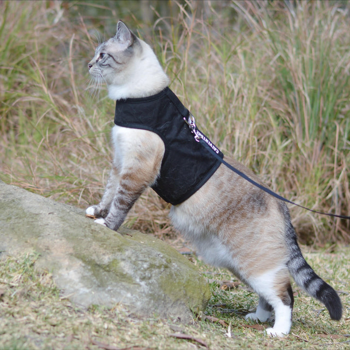 Catventure Escape Proof Harness
