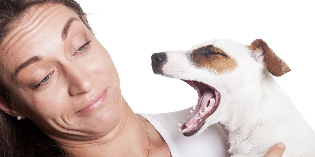Why Does My Dog Have Bad Breath? 5 Common Causes (And What You Can Do)