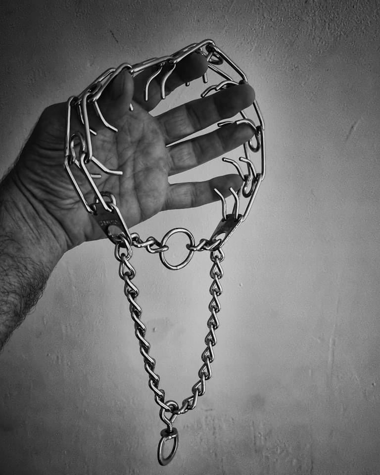 Prong Collars