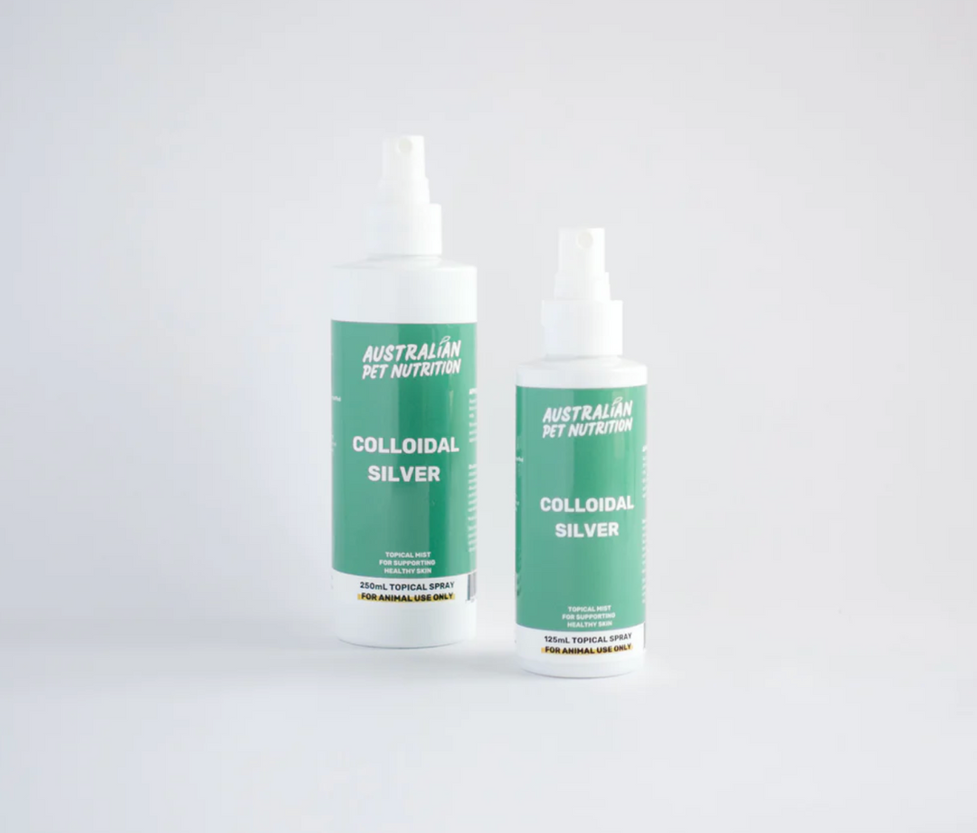 Why Colloidal Silver Belongs in Every Dog and Cat First Aid Kit