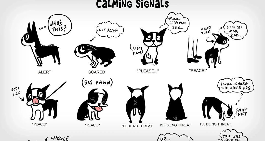 Dogs' Calming Signals