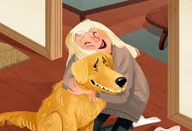 When Love Feels Like Pressure: Common Human Behaviours That Stress Dogs