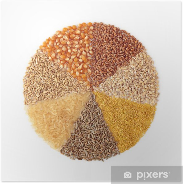 Food Intolerances in Dogs and Itchy Skin