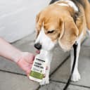 100% Cold Pressed Hemp Seed Oil for Dogs 250ml