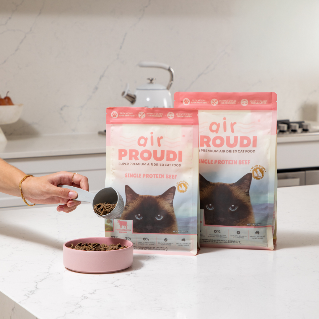 Air Proudi Cat Beef