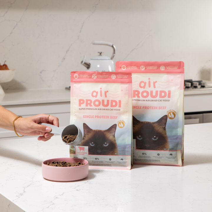 Air Proudi Cat Beef