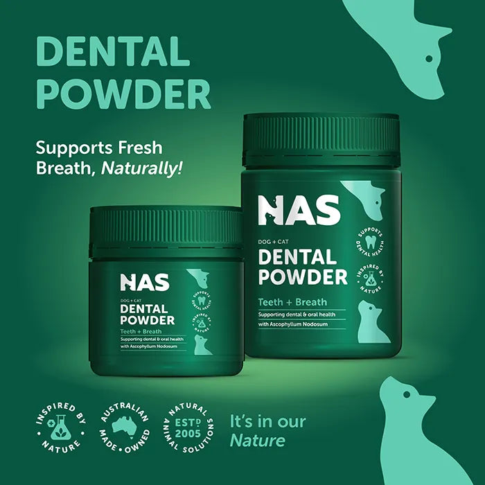 NAS Dental Powder