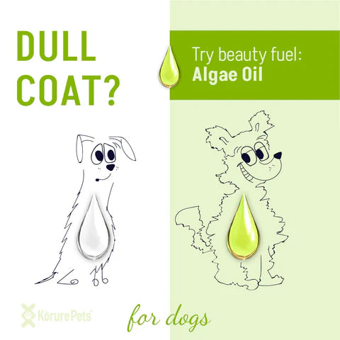 Korure Pets Algae Oil Dog 50ml