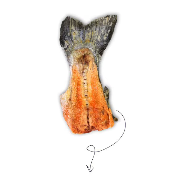 Korure Pets NZ King Salmon Tails 80g