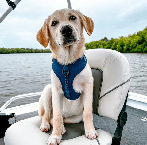 DOOG Neosport Dog Harness