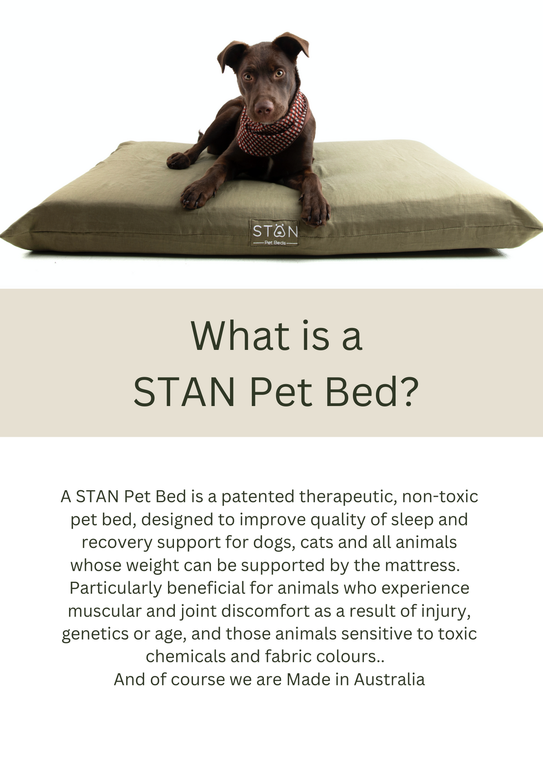 Stan Senior Dog Bed