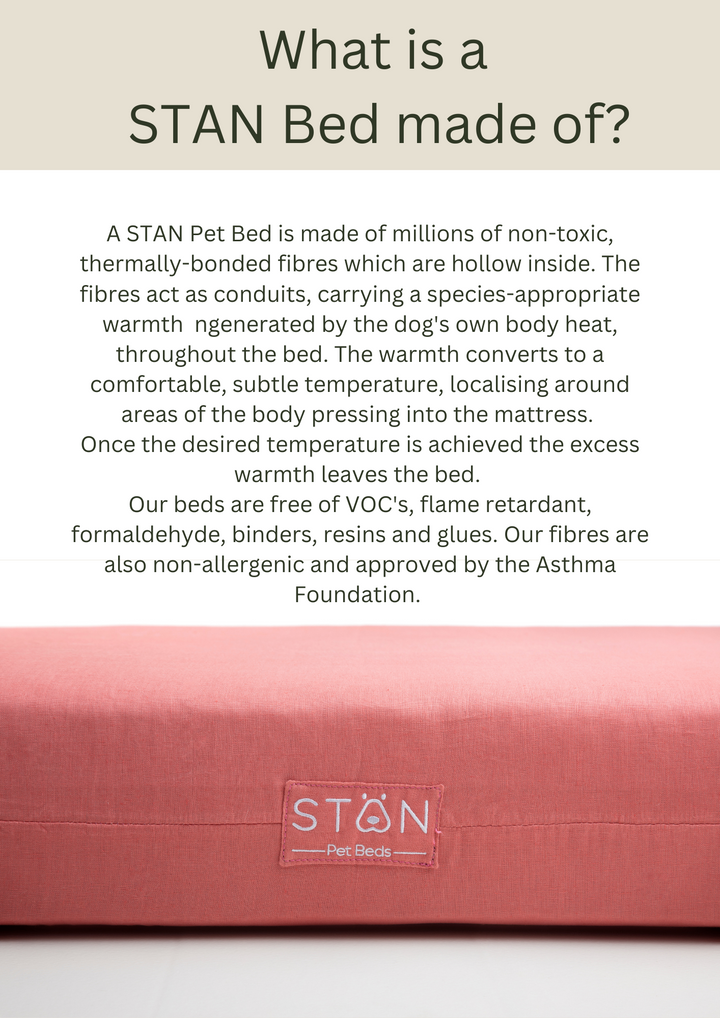 Stan Senior Dog Bed