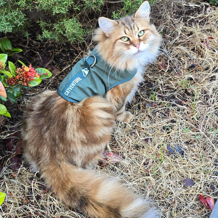Catventure Escape Proof Harness